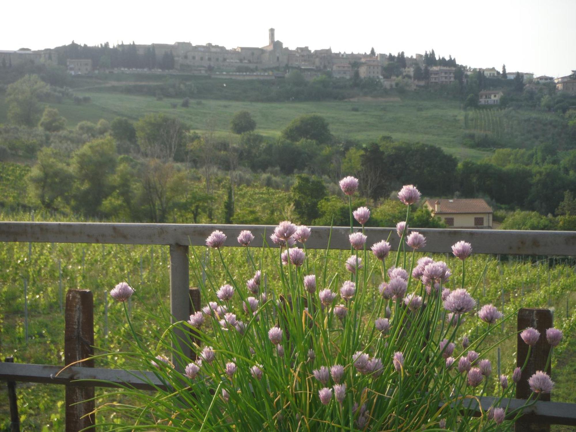Due Piani Villa Barberino Val d'Elsa ภายนอก รูปภาพ