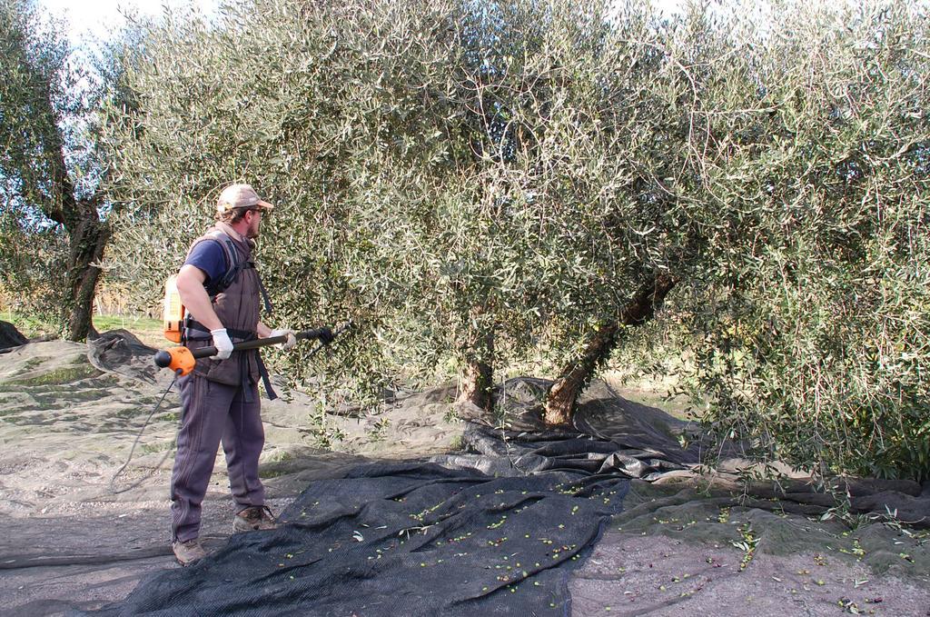 Due Piani Villa Barberino Val d'Elsa ภายนอก รูปภาพ