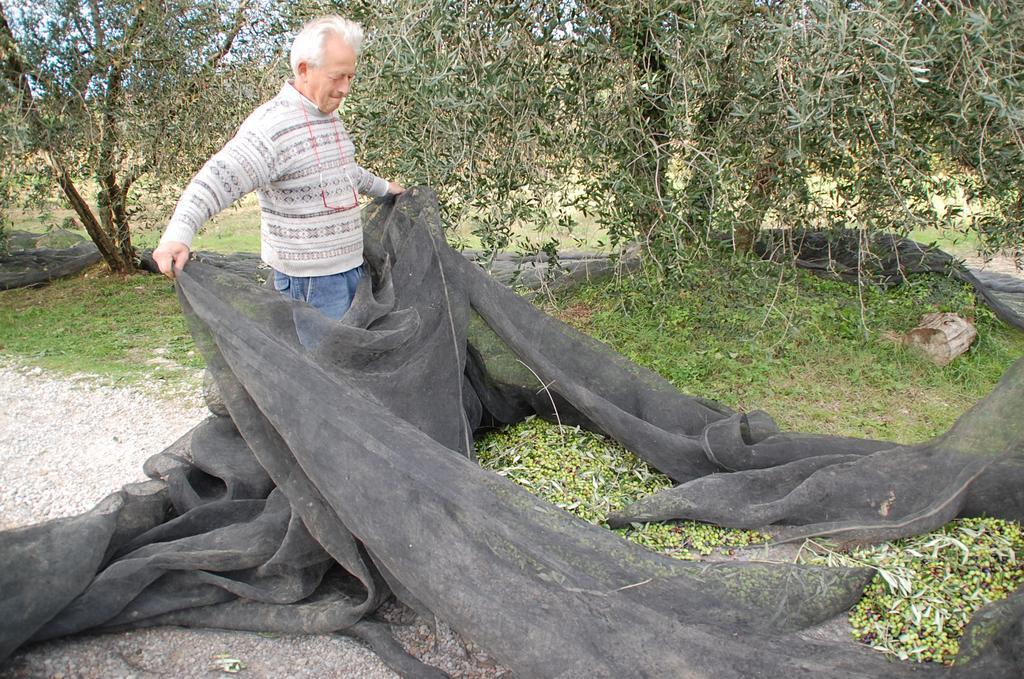 Due Piani Villa Barberino Val d'Elsa ภายนอก รูปภาพ
